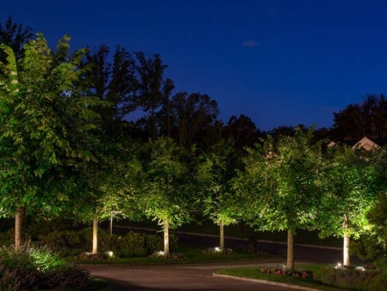 landscape lighting