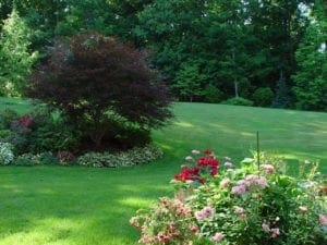 Tender Loving Lawn Care | Parker Homescape