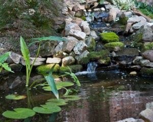 waterfall, water feature, pond
