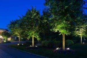 Warren, New Jersey Landscape Lighting