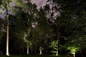 landscape outdoor lighting