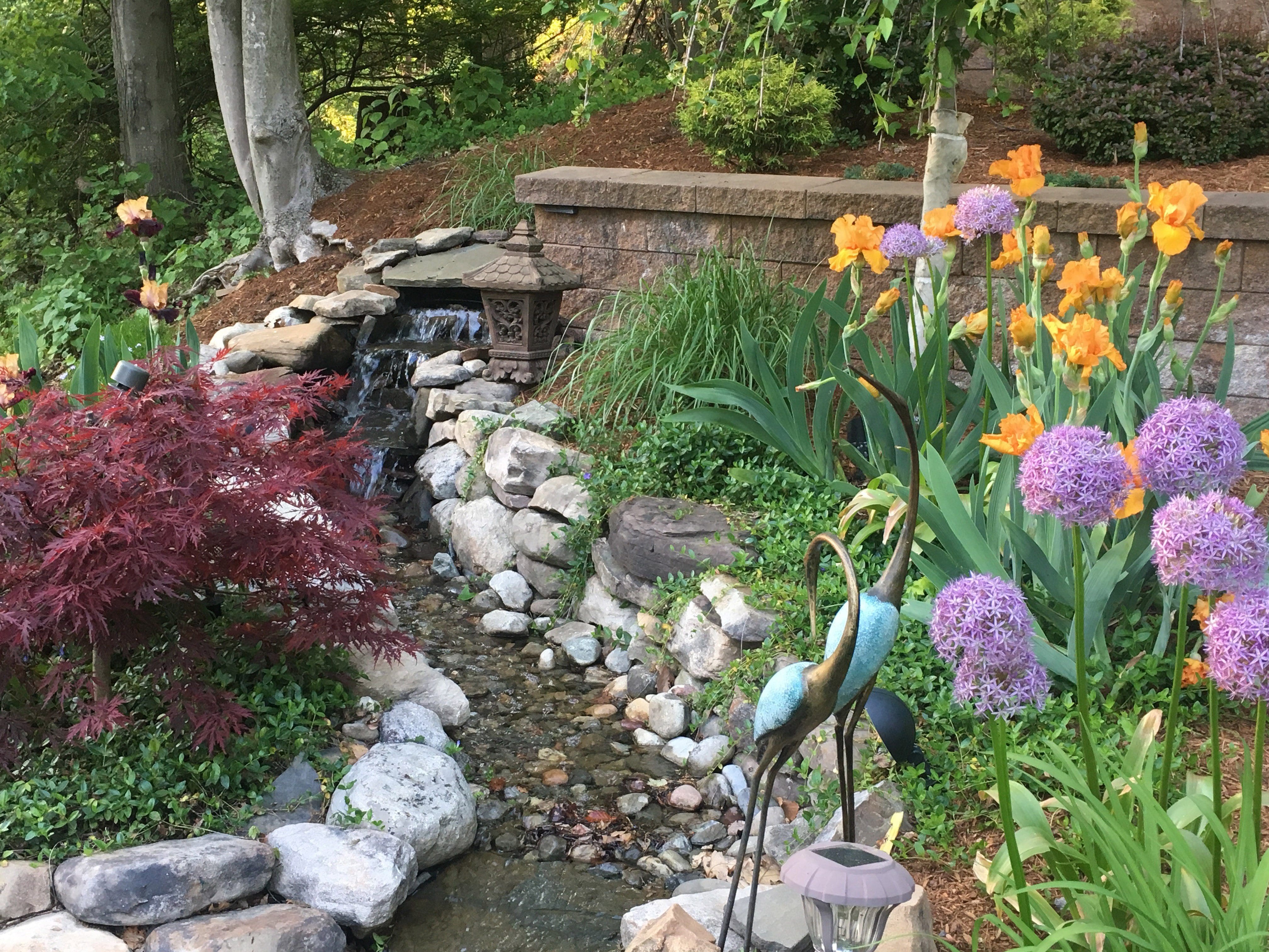 Featured image of post Finding A Landscape Designer Near Me / Sydney landscape architects & landscape designers.