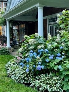 Chatham, New Jersey Landscaping Services