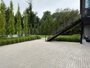 IMG_8259