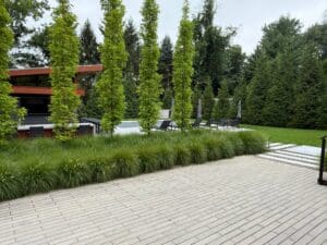 IMG_8260