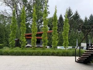 IMG_8261
